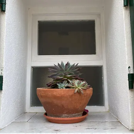 Casa Ami Apartment